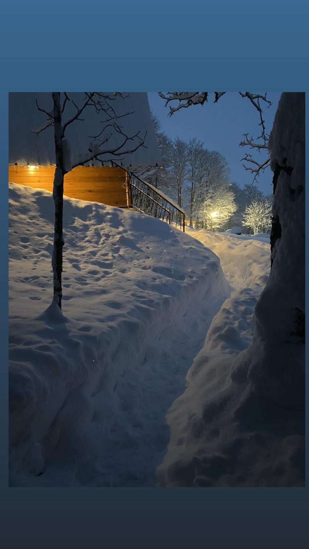 Vila Sun Forest Zabljak  Exterior photo